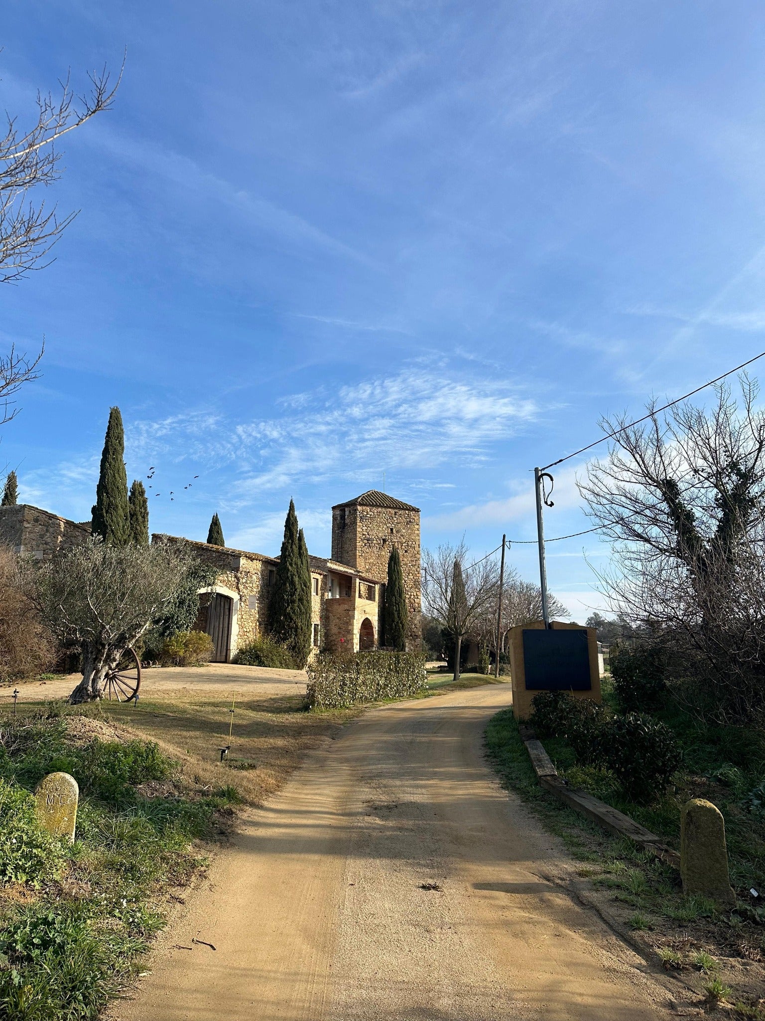 Marta S. (Sevilla)